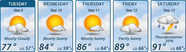 5-Day Forecast