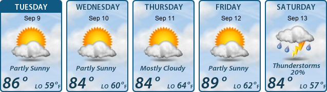 5-Day Forecast