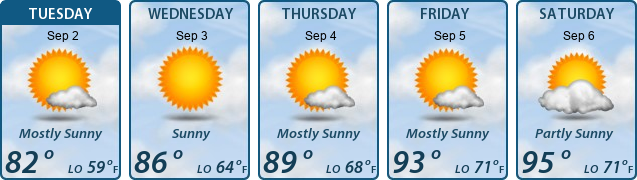 5-Day Forecast